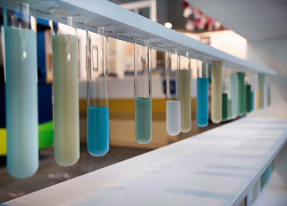 15-3076 Akzo - Zeeprojects 20-28